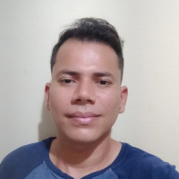 PEDRO HENRIQUE FERAIS FERREIRA