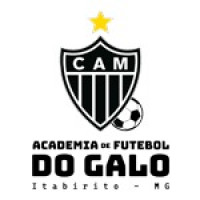 ACADEMIA DE FUTEBOL DO GALO ITABIRITO SUB-11